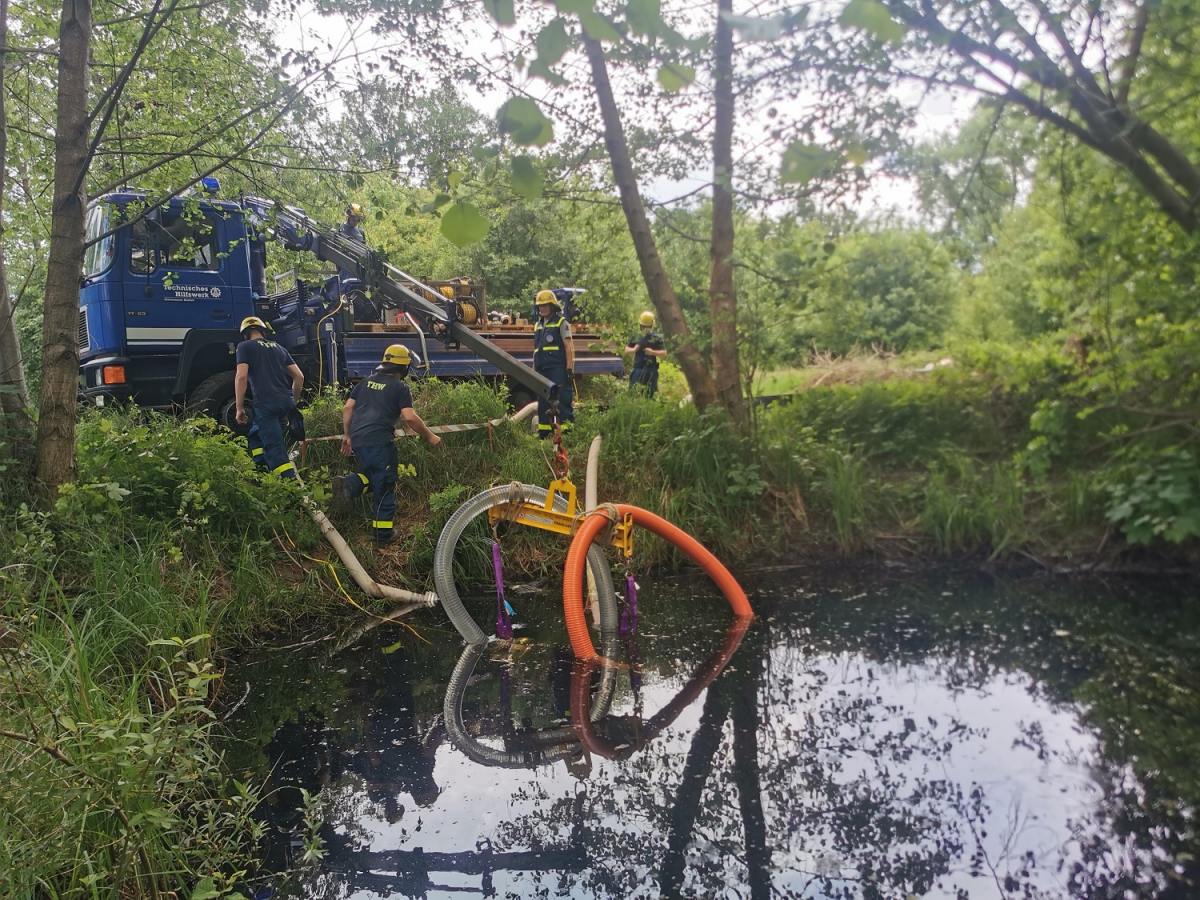 Biotopteich durch illegale Ausbringung von Nordamerikanischen Ochsenfroschlaich in Gefahr